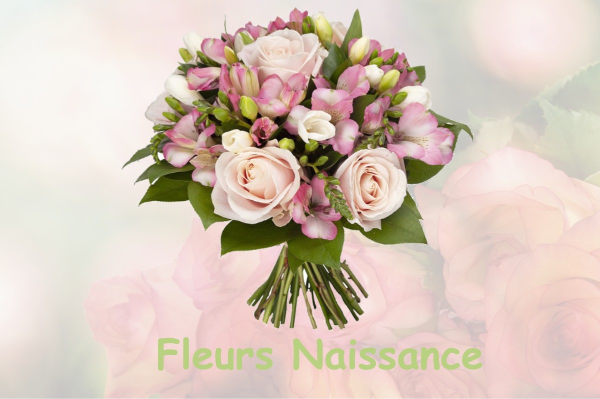 fleurs naissance MONTREVEL